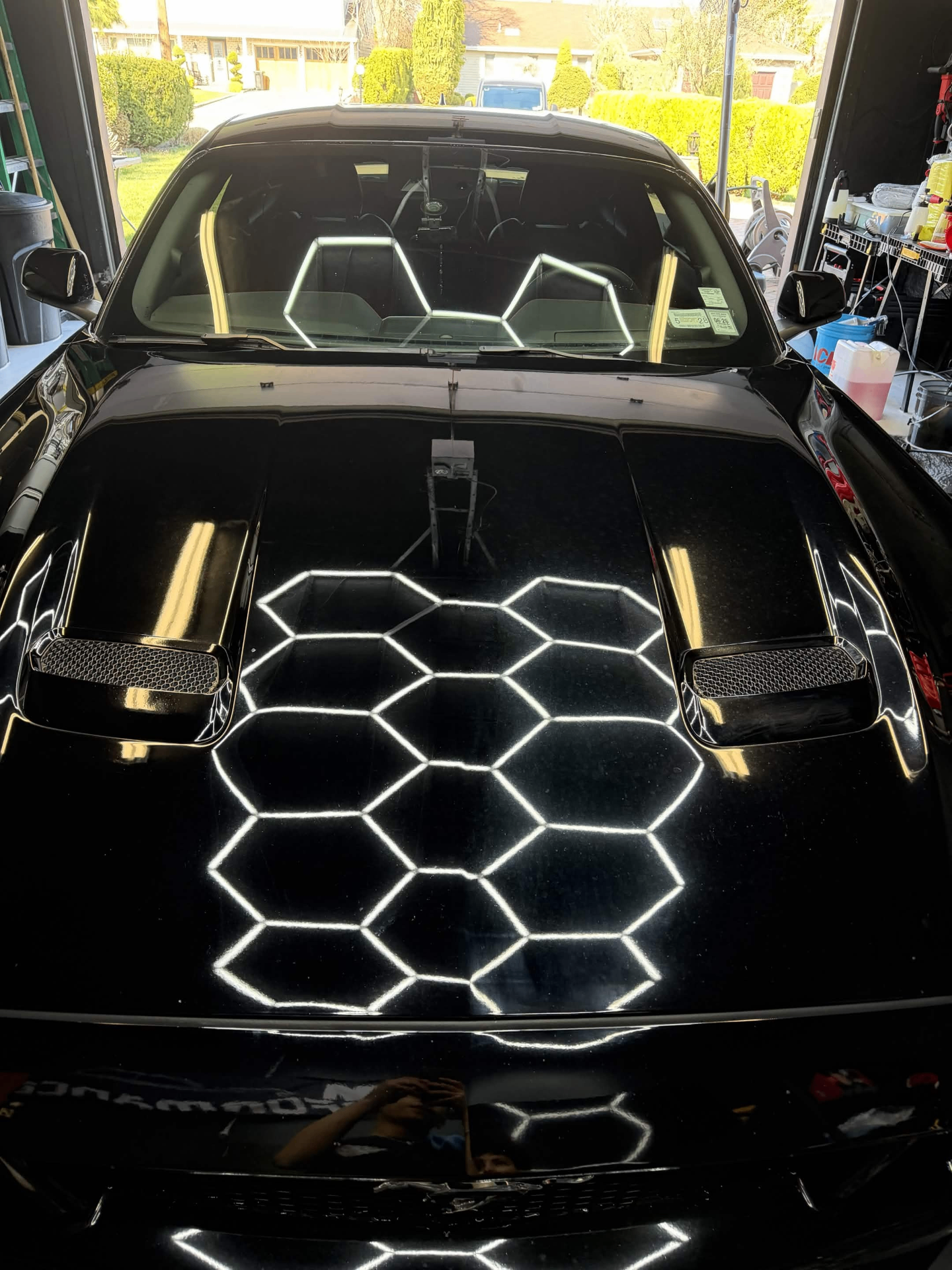 Paint & Glass Polish